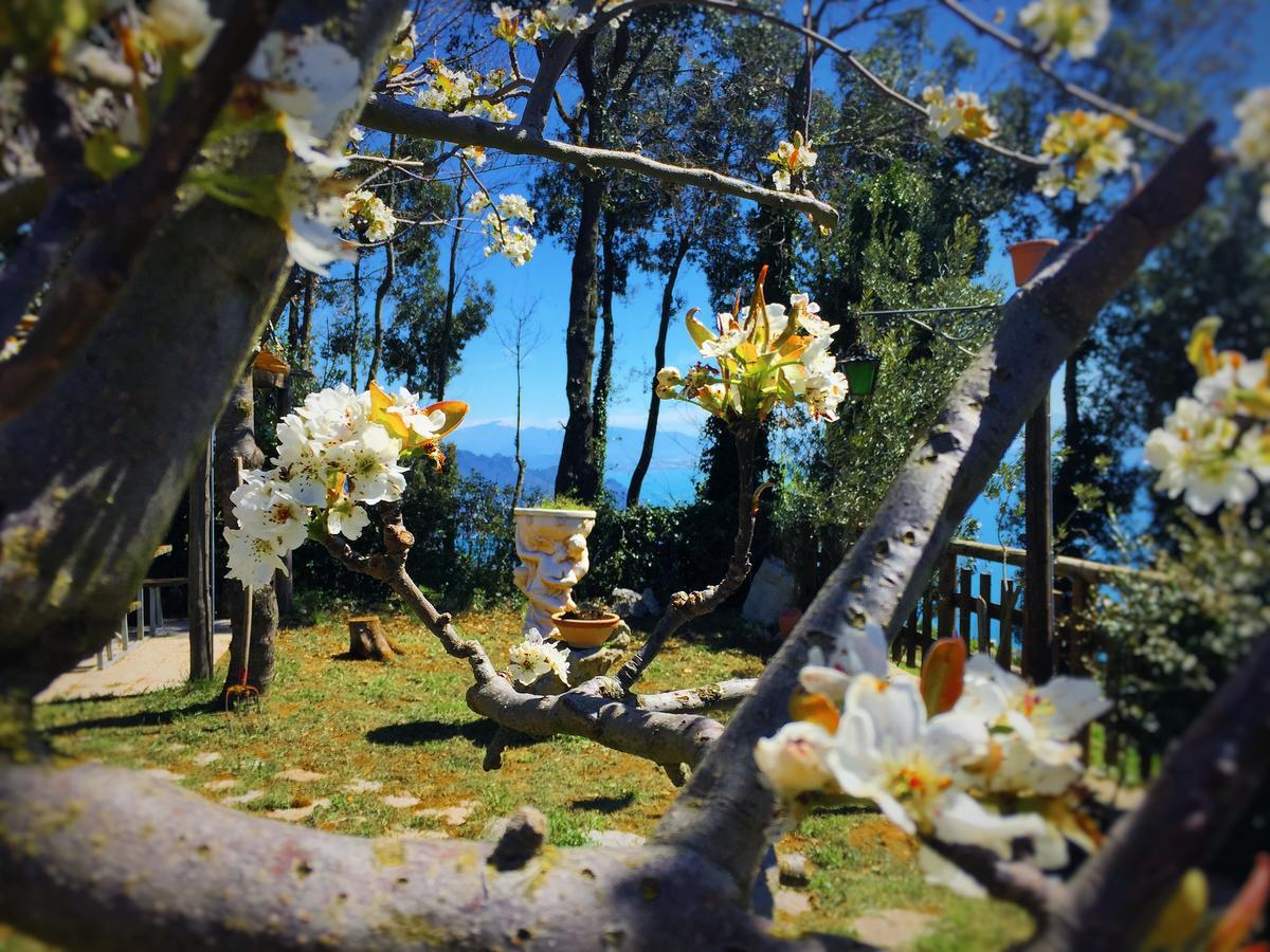 B&B Miramare Аджерола Экстерьер фото
